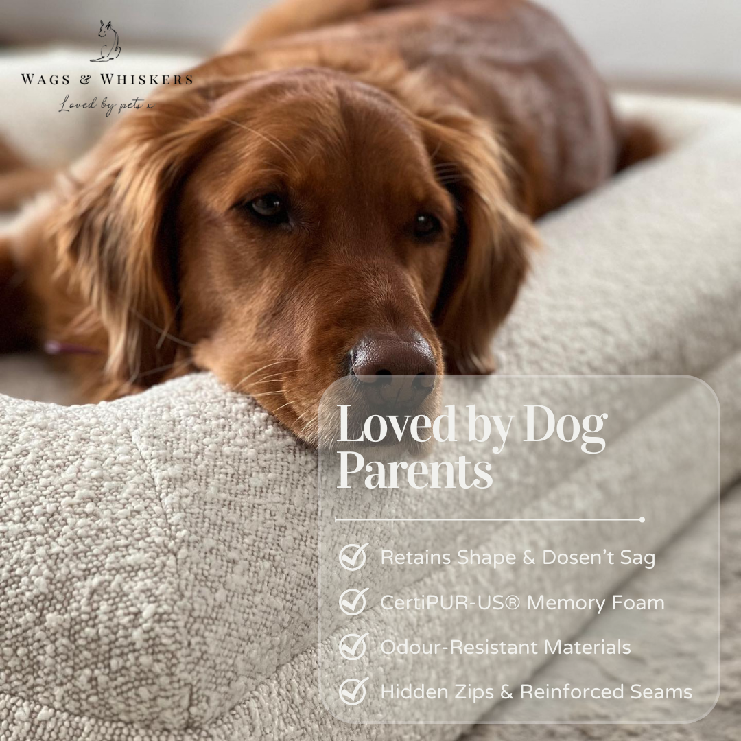 Wags Luxury Pet Bed